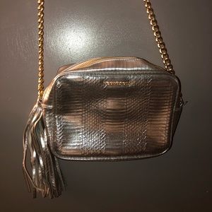 Silver Purse